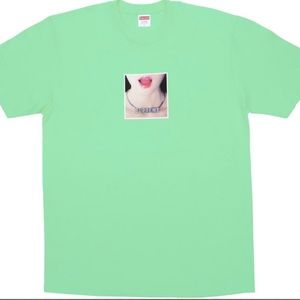 Supreme SS18 Necklace Mint Tee size XL